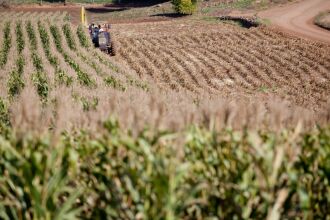 Os golpistas oferecem produtos e serviços (Foto: Pedro Revillion/Palácio Piratini/Arquivo)