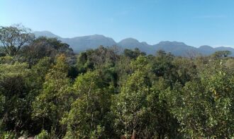 A Mata Atlântica é o bioma que mais perdeu floresta no país até hoje, restando apenas 12,4% (Foto: Arquivo/Agência Brasil)