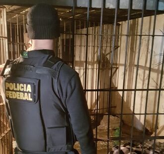 Foto: Polícia Federal/Divulgação