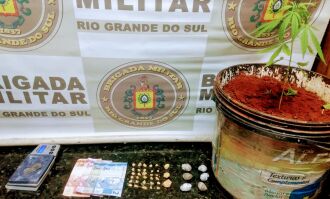 Em revista ao local, além de drogas, policiais encontraram um pé de maconha (Foto: Divulgação/Brigada Militar)