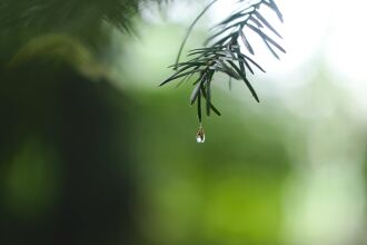 Entre esta quinta-feira e domingo o tempo permanecerá seco (Foto: Ed Leszczynskl/Unsplash)