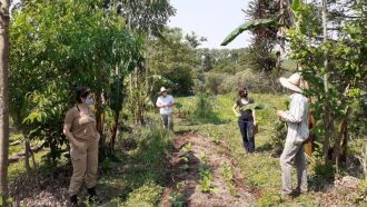 Assessoramento técnico ensinou como implementar as melhores práticas no uso sustentável de produtos originários da flora nativa ( Foto: Alvir Longui/Divulgação/Sema)