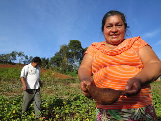 Cada família indígena receberá um Kit de sementes de hortaliças (Foto: Divulgação)