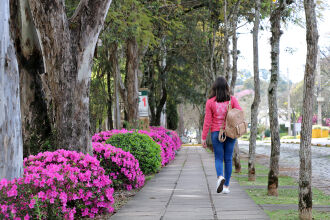 As vagas são para ingresso no primeiro semestre de 2022 (Foto: Divulgação/UPF)