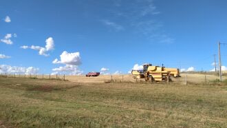 Cenário climático que favoreceu o avanço da colheita para 85% da área cultivada no Estado (Foto: Adriane Bertoglio Rodrigues)