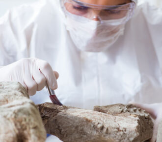 Curso oportuniza formação teórico−prática no campo da Arqueologia e da análise (Foto: Foto: Divulgação)