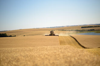 Além do aumento em produção, o país contou com maior produtividade e área em relação à safra de trigo 2020 (Foto: Divulgação Biotrigo/Gui Benck)