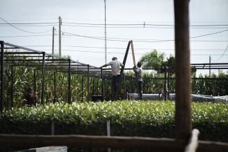 Expodireto acontece entre 7 a 11 de março em Não-Me-Toque. (Foto: Divulgação/Expodireto)