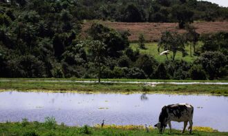 Foto: CNA/Wenderson Araujo/Trilux