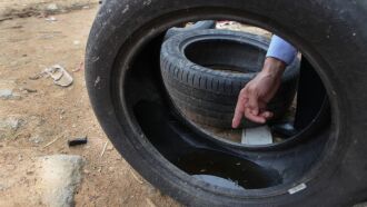 Evitar locais com água parada é considerado a principal medida de prevenção. (Foto: Arquivo/Palácio Piratini)