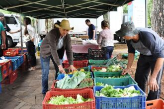 Cerca de 65 famílias viabilizam a ocorrência da Feira do Produtor há mais de duas décadas. (Foto: Arquivo/UPF)