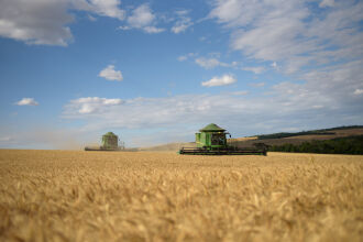 A área semeada de trigo no Brasil em 2022 girou em torno de 3 milhões de hectares, um aumento de quase 12% em comparação à safra passada. (Foto: Divulgação Biotrigo/Gui Benck)