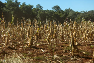 Municípios no entorno de Sananduva enfrentam situação mais crítica. (Foto: Gustavo Mansur/Governo do Rio Grande do Sul)