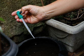 Controle para eliminar criadouros do mosquito da dengue Foto – Fernando Frazão-Agência Brasil