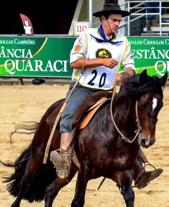 Passo-fundense Guto Freire estará com seis animais do seu centro de treinamento participando do Freio de Ouro da Expointer 2023