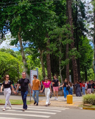 Divulgação/UPF 