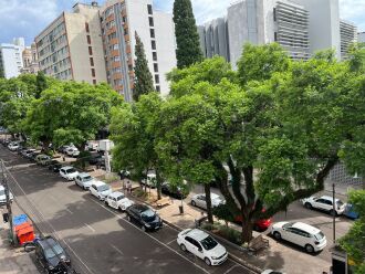 Desde 2012 a entidade adotou o canteiro entre a Avenida Brasil e a Morom