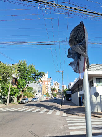 A Guarda de Trânsito solicita aos motoristas a máxima atenção e cuidado ao transitar na Rua Fagundes dos Reis - Foto  Gerson Lopes/ON