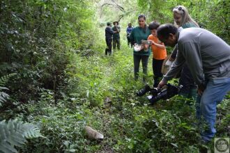 Animais foram soltos na Floresta Nacional de Passo Fundo