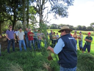 Agricultores conheceram vantagens da técnica em tarde de campo