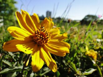 Clima com temperaturas próximo dos 25º durante a tarde