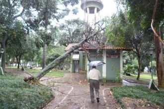 Em abril de 2012, um forte vento derrubou árvores na Praça Marechal Floriano