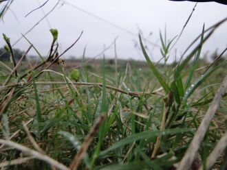 Nos últimos dias a instabilidade e a chuva fizeram com que a umidade relativa do ar aumentasse ainda mais na região Norte