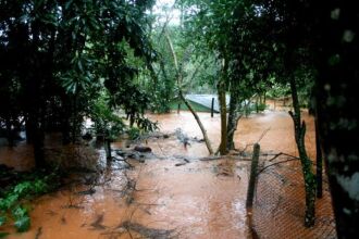 Norte e no Noroeste passam por enchente após cheia do Rio Uruguai