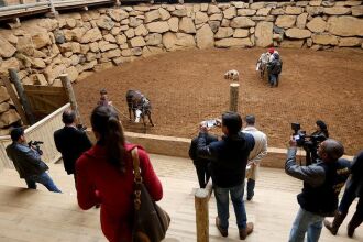 Jornalistas conheceram um pouco da cultura gaúcha em visita a Gramado