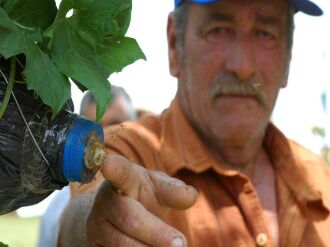 Seminário tratará de temas como a legalização da produção de mel de abelhas sem ferrão