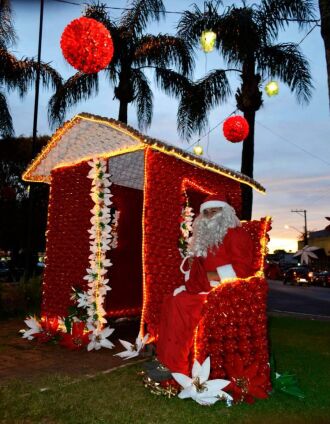 Natal Ecológico do Boqueirão reúne cerca de 30 mil visitantes