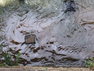 ON registrou manchas que parecem óleo no Rio Passo Fundo