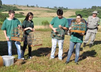 Após reconhecimento do ambiente, animais reintegram na natureza