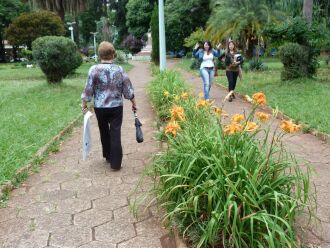 Até o domingo, dias devem permanecer com céu nublado a parcialmente nublado