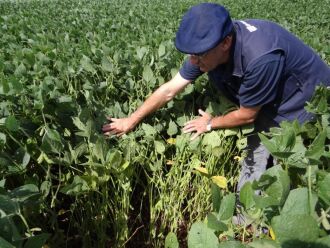 As condições climáticas também impediram uma maior proliferação de pragas, facilitando o controle nas lavouras