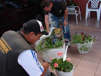 Trabalho da vigilância está intensificado para localizar focos