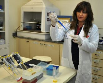 Duas novas tecnologias estão em desenvolvimento no Laboratório de Biotecnologia da Faculdade de Agronomia e Medicina Veterinária da UPF