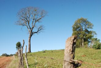 Ar frio e seco chega à região e o sol volta a predominar a partir da tarde de sábado