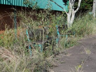 Atualmente parque está em situação de abandono