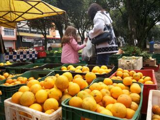 Alimentos orgânicos contribuem com a saúde das pessoas e do planeta