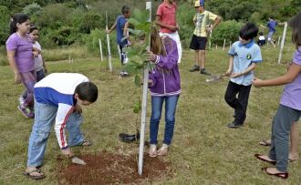 Educação ambiental também é objetivo do Programa, que já realizou plantio em mais de 50 diferentes locais da cidade