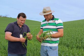 Produtor investe em tecnologia e assistência técnica para melhorar produtividade