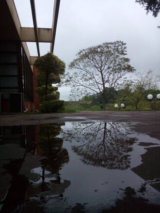 Chuva acima da média é devido a atuação do fenômeno El Niño