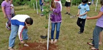 Objetivo é arborizar área urbana