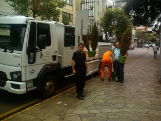 Ao todo, 28 árvores foram encaminhadas ao viveiro municipal para ganhar um novo destino