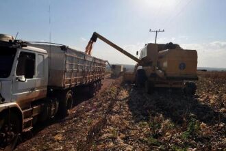 Brasil vai colher 210 milhões de toneladas de grãos