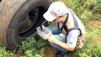 Coleta de larvas em pneus para exame laboratorial