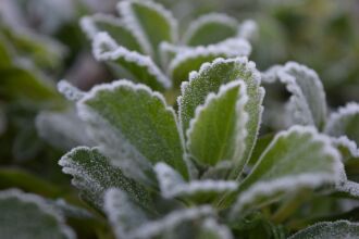 A previsão para a semana inclui frio, céu nublado e possibilidade de geada