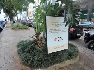 A adoção representa o desejo da CDL em ver a cidade cada vez mais bonita e preservada 