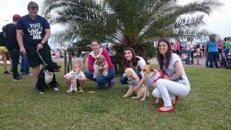 Vencedores do Concurso Pet nas quatro categorias